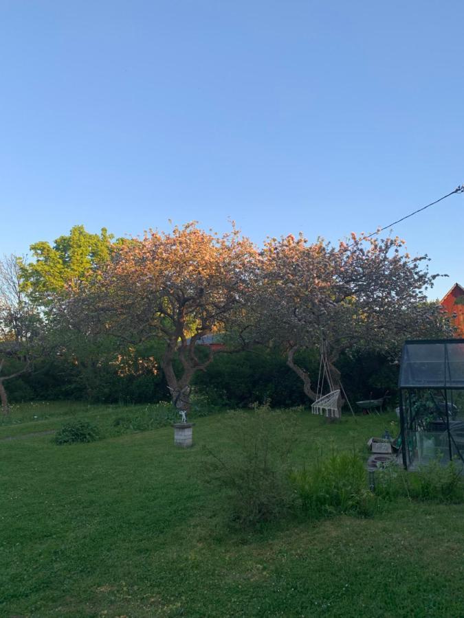 Martebo Bed & Breakfast Tingstade Luaran gambar
